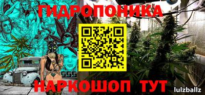 индика Аргун