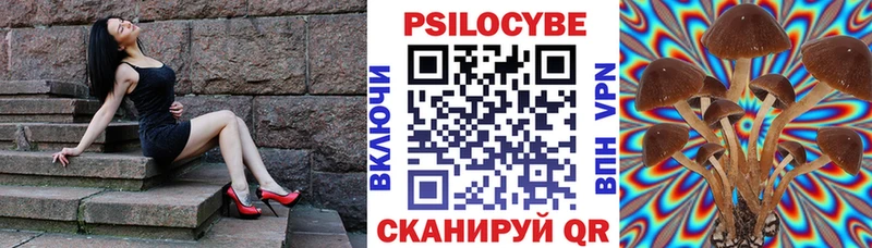 Псилоцибиновые грибы Magic Shrooms  дарнет шоп  blacksprut как войти  Апшеронск 