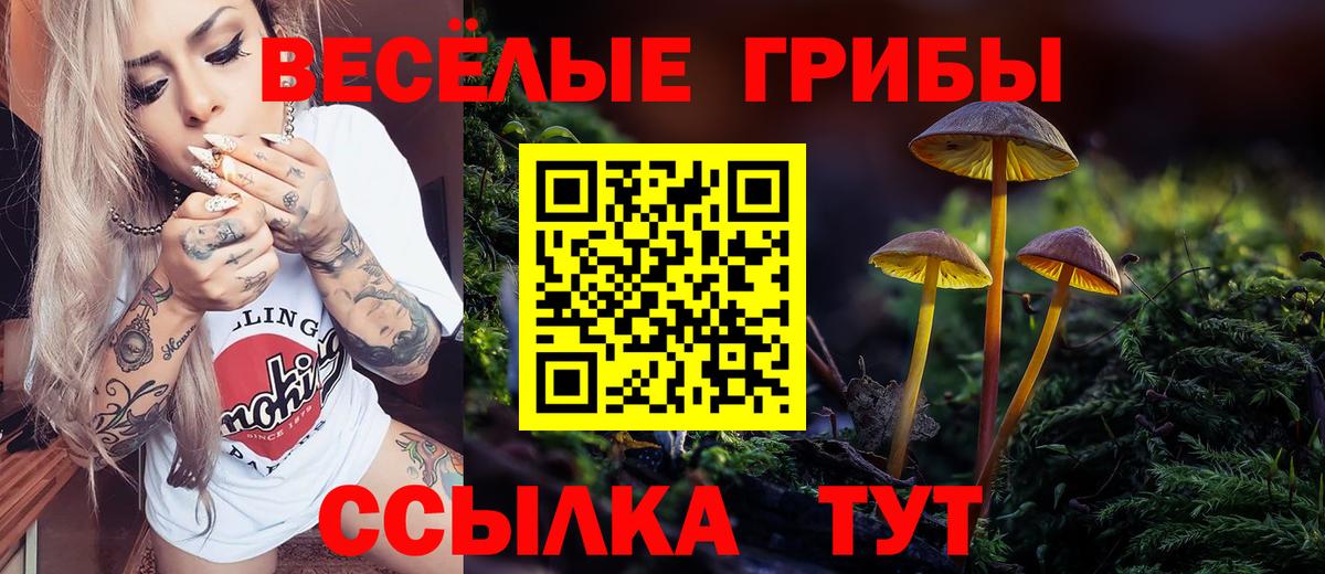 Галлюциногенные грибы Psilocybe  Вход с VPN  Апшеронск 