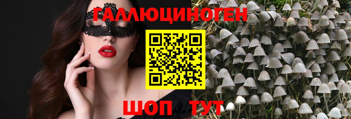 Галлюциногенные грибы Cubensis Апшеронск